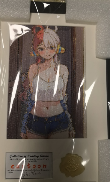 12 One Piece print hanging picture